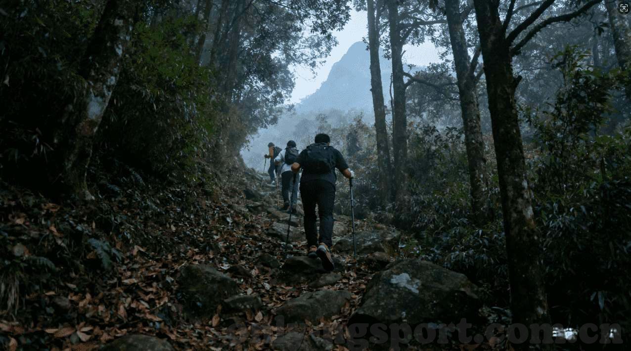 mk体育在线官网首页-MK体育，连接在线观赛与互动体验的新平台